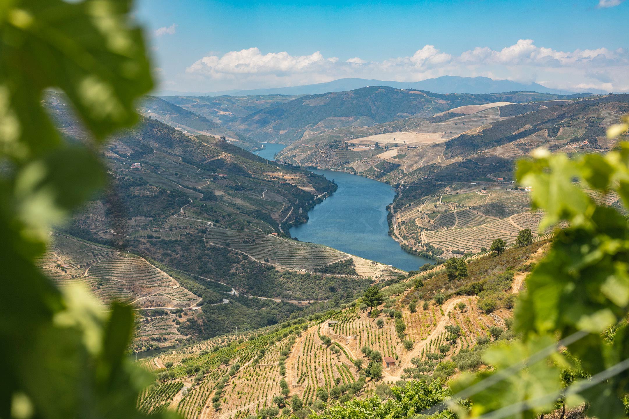 Banner Quinta da Carregosa